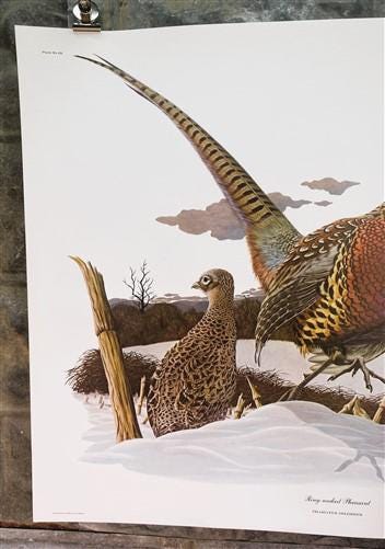 Art & Collectibles > Prints > Lithographs - Richard Sloan, Ring-Necked Pheasant, Signed Print, 28x22 Wade Collection Plate...
