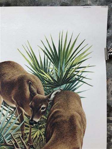 Art & Collectibles > Prints > Lithographs - Richard Timm, Florida Key Deer, Signed Print, 28x22 Wade Collection, Plate 15...