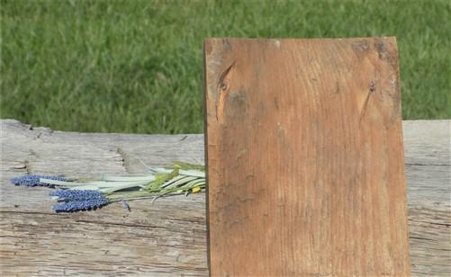 2 Plinth Blocks, Door Trim Molding, Architectural Salvage, Antique Wood Trim C3,