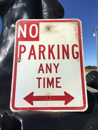 No Parking Any Time Street Sign, 24x18 Vintage Metal Road Sign