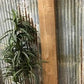 Raw Walnut Board, Natural Unfinished Sawn Wood Lumber, Rustic Hardwood J,