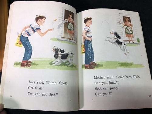 Dick Jane Sally Childrens Readers, Basic Readers, Vintage School Education by The Old Grainery (50s, 60s, basic reader)