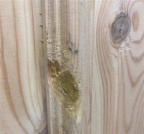 French Double Doors (32x96) Raised Panel Doors, European Styled Doors NM10A