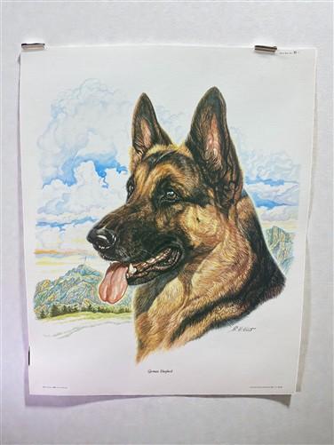 Art & Collectibles > Prints > Lithographs - Ernest Hart 3 Signed Dog Prints, 16x20, Labrador, Shepherd, Wade Collection by...