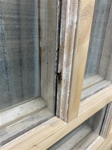 Antique French Double Doors (56.5x83) 5 Pane Glass, European Reclaimed G190
