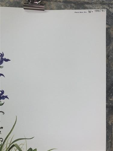 Art & Collectibles > Prints > Lithographs - Maryrose Wampler, Passion Vine, Signed Print, 28x22 Wall Art, Plate 18 by The...