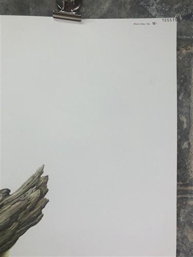 Art & Collectibles > Prints > Lithographs - Maryrose Wampler, Hepatica, Signed Print, 28x22 Wall Art, Plate 15 by The Old...