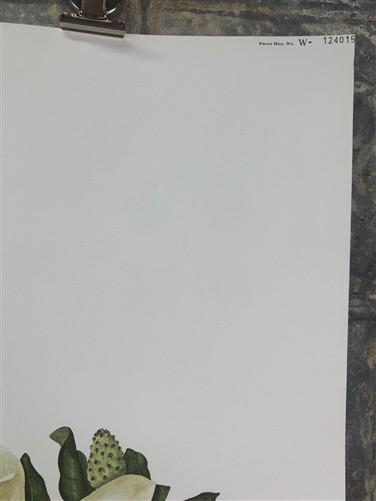 Art & Collectibles > Prints > Lithographs - Maryrose Wampler, Magnolia, Signed Print, 28x22 Wall Art, Plate 12 by The Old...