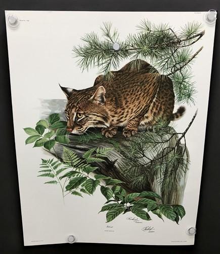Art & Collectibles > Prints > Lithographs - 10 Richard Timm Signed Prints, 28x22 Wade Collection Lithograph Plates 1-10 by...
