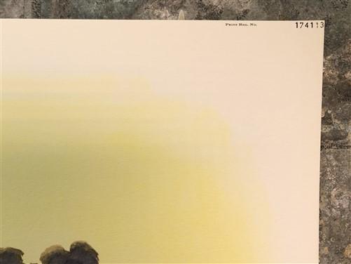 Richard Sloan, Brown Pelican, Signed Print, 28x22, Wade Collection, Plate 17