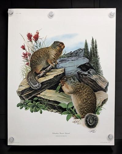 Art & Collectibles > Prints > Lithographs - 10 Richard Timm Signed Prints, 28x22 Wade Collection Lithograph Plates 31-40 b...
