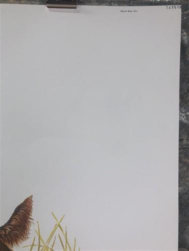 Art & Collectibles > Prints > Lithographs - Ernest Hart, Irish Setter, Signed Dog Print, 28x22, Wade Collection, Plate 4 b...