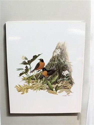 Art & Collectibles > Prints - 15 Miniature 4x5 Richard Sloan North American Bird Art Prints, Nature House A by The Old Gra...