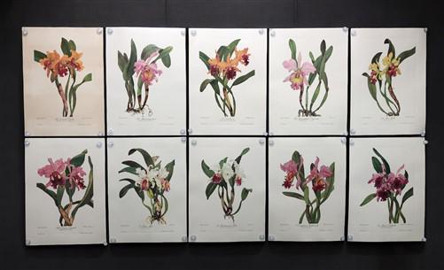 アボリジニアート　Andy Kempnich Terare Happy Earth Day! 🌳🌳🌳 Currently on view at RYAN LEE Gallery