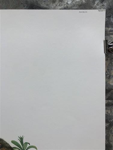 Art & Collectibles > Prints > Lithographs - Richard Timm, Fox Squirrel, Signed Print, 28x22 Wade Collection, Plate 16 by T...