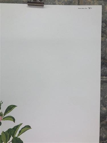 Art & Collectibles > Prints > Lithographs - Maryrose Wampler, Wild Rose, Signed Print, 28x22 Wall Art, Plate 22 by The Old...