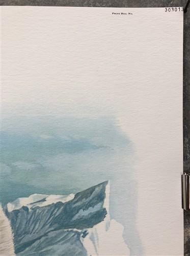 Art & Collectibles > Prints > Lithographs - Richard Timm, Polar Bear, Signed Print, 28x22 Wade Collection, Plate 30 by The...