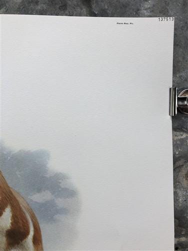 Art & Collectibles > Prints > Lithographs - Richard Timm, Pronghorn, Signed Print, 28x22 Wade Collection, Plate 13 by The...