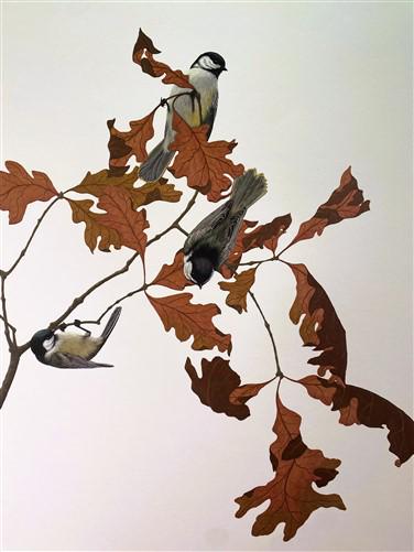 Art & Collectibles > Prints > Lithographs - Richard Sloan, Black Capped Chickadee Signed Print 28x22 Wade Collection Plate...