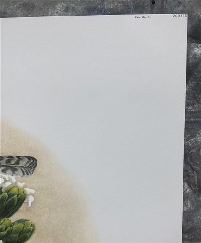 Art & Collectibles > Prints > Lithographs - Richard Sloan, Cactus Wren, Signed Print, 28x22, Wade Collection, Plate 26 by...