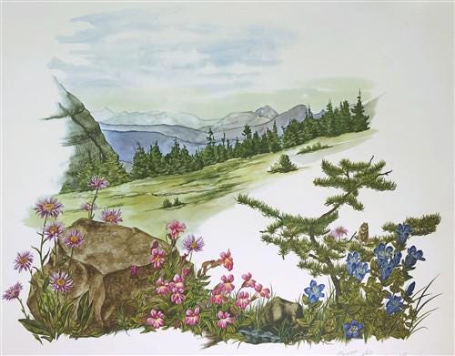 Art & Collectibles > Prints > Lithographs - Maryrose Wampler, Mountain Flowers, Signed Print, 28x22 Wall Art, Plate 30 by...