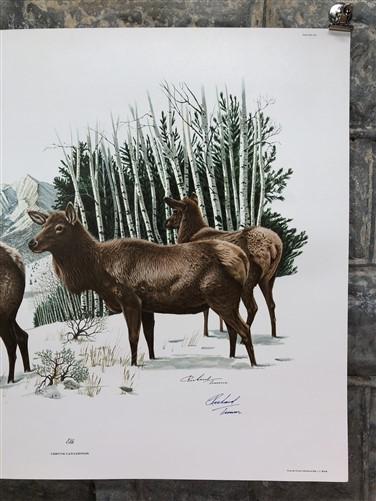 Art & Collectibles > Prints > Lithographs - Richard Timm, Elk, Signed Print, 28x22 Wade Collection, Plate 3 by The Old Gra...