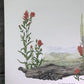 Maryrose Wampler, Paintbrush & Sagebrush, Signed Print, 28x22 Wall Art, Plate 25