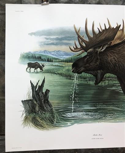 Art & Collectibles > Prints > Lithographs - Richard Timm, Alaska Moose, Signed Print, 28x22 Wade Collection, Plate 18 by T...