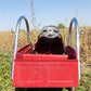 Toys & Games > Toys > Ride On & Rocking Toys > Vehicles - Pacific Cycle Instep Fire & Rescue Engine No 7, Toy Pedal Fire T...