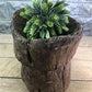 Rustic Wood Planter, Wood Stump, Round Wooden Flower Pot, Natural Wood Decor, L