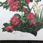 Maryrose Wampler, Camellia, Signed Print, 28x22 Wall Art, Plate 19