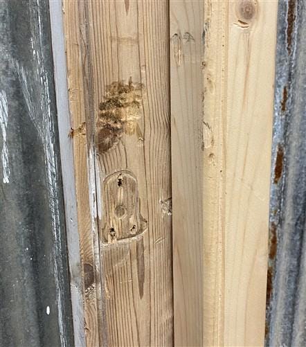 Antique French Single Door (33x81) Glass Pane Door with Jamb, Encased Door T44