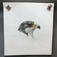 Art & Collectibles > Prints - Axel Amuchastegui, Argentine Eagle, Wildlife Art Print, Americana Art Print by The Old Grainery