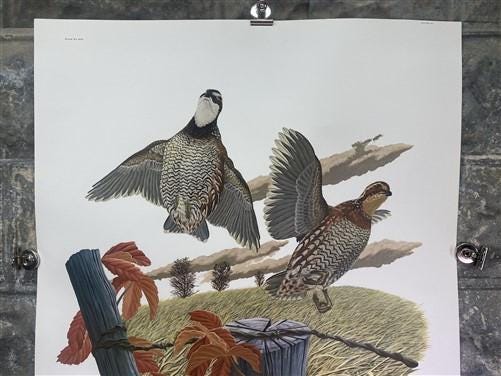 Art & Collectibles > Prints > Lithographs - Richard Sloan, Bobwhite, Signed Print, 28x22, Wade Collection, Plate 21 by The...