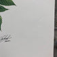 Art & Collectibles > Prints > Lithographs - Richard Timm, Woodchuck, Signed Print, 28x22 Wade Collection, Plate 28 by The...