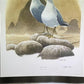 Art & Collectibles > Prints > Lithographs - Richard Sloan, California Gull, Signed Print, 28x22, Wade Collection, Plate 31...