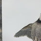 Art & Collectibles > Prints > Lithographs - Richard Sloan, Bobwhite, Signed Print, 28x22, Wade Collection, Plate 21 by The...