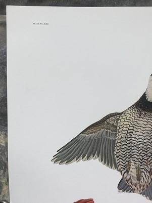 Art & Collectibles > Prints > Lithographs - Richard Sloan, Bobwhite, Signed Print, 28x22, Wade Collection, Plate 21 by The...