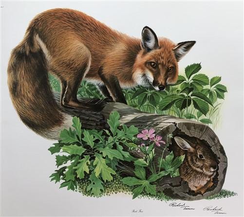 Art & Collectibles > Prints > Lithographs - Richard Timm, Red Fox, Signed Prints, 28x22 Wade Collection, Plate 1 by The Ol...