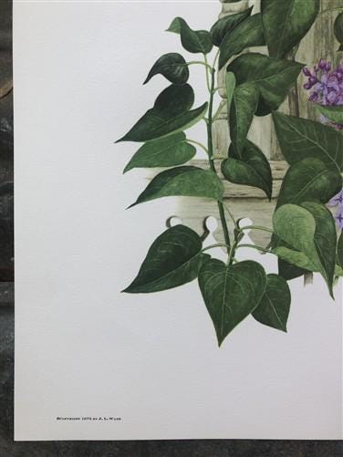 Art & Collectibles > Prints > Lithographs - Maryrose Wampler, Lilac Apple Blossom, Signed Print, 28x22, Wall Art, Plate 6...