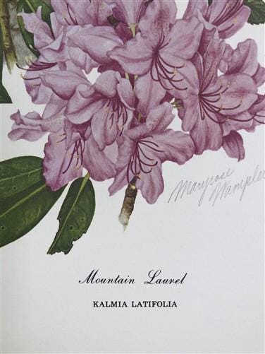 Maryrose Wampler, Rhododendron & Laurel, Signed Print, 28x22 Wall Art, Plate 29