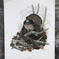 Art & Collectibles > Prints > Lithographs - Richard Sloan, Ruffled Grouse, Signed Print, 11x14, Essay, Sketches, Plate 12...