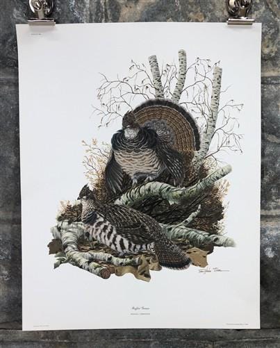Art & Collectibles > Prints > Lithographs - Richard Sloan, Ruffled Grouse, Signed Print, 11x14, Essay, Sketches, Plate 12...