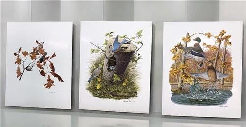Art & Collectibles > Prints - 15 Miniature 4x5 Richard Sloan North American Bird Art Prints, Nature House A by The Old Gra...