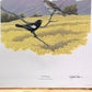 Art & Collectibles > Prints > Lithographs - Richard Sloan, Lark Bunting, Signed Print, 28x22, Wade Collection, Plate 42 by...