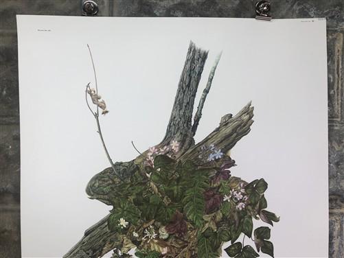 Art & Collectibles > Prints > Lithographs - Maryrose Wampler, Hepatica, Signed Print, 28x22 Wall Art, Plate 15 by The Old...