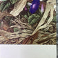 Art & Collectibles > Prints - Axel Amuchastegui, Bay Winged Cowbird, 20.75x14 South American Bird Art Print B by The Old G...