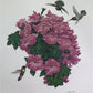 Art & Collectibles > Prints > Lithographs - Richard Sloan, Hummingbird, Signed Print, 28x22, Wade Collection, Plate 45 by...