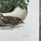 Richard Sloan, California Quail, Signed Print, 28x22, Wade Collection, Plate 27