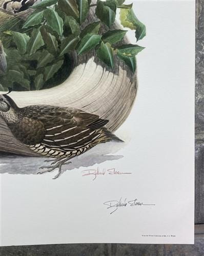 Richard Sloan, California Quail, Signed Print, 28x22, Wade Collection, Plate 27